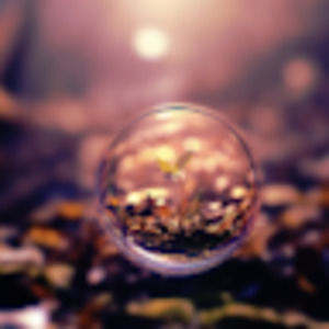 Meet your Posher, Jinsu